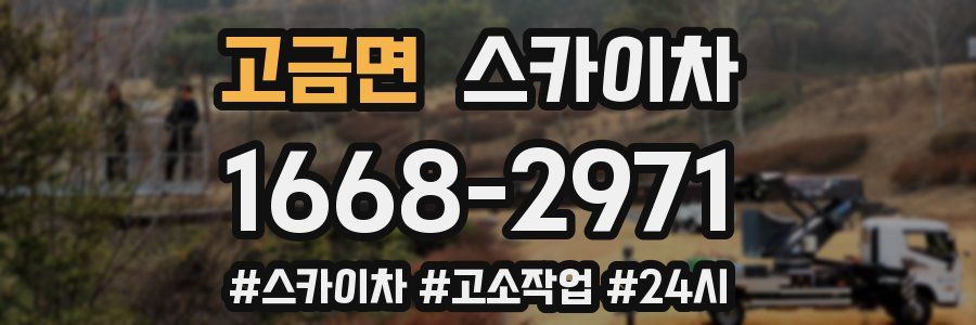 고금면 스카이차