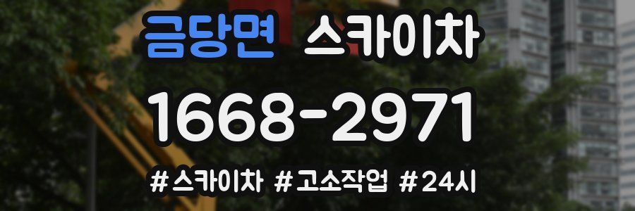 금당면 스카이차