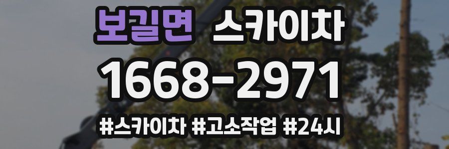 보길면 스카이차