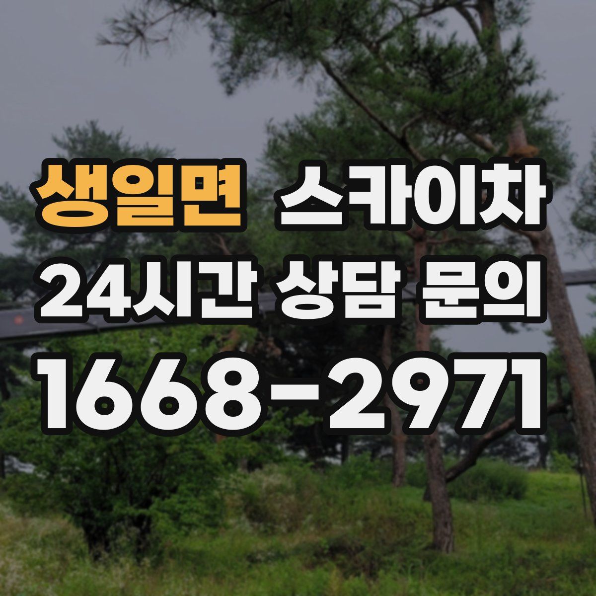 생일면 스카이차