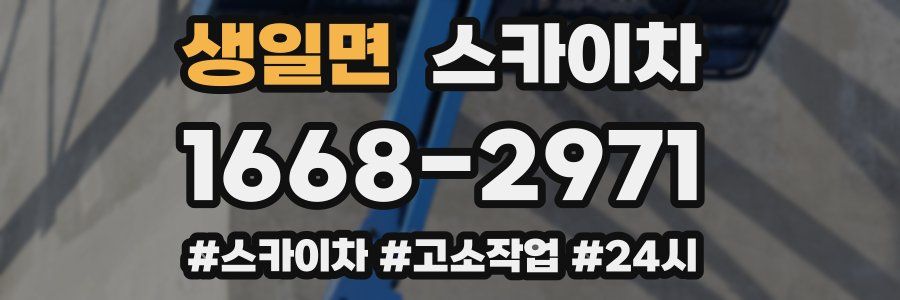 생일면 스카이차