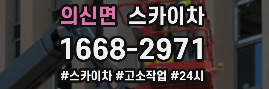 의신면 스카이차