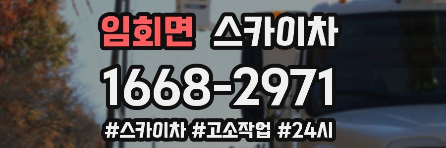 임회면 스카이차