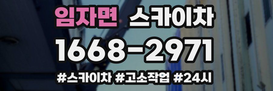 임자면 스카이차