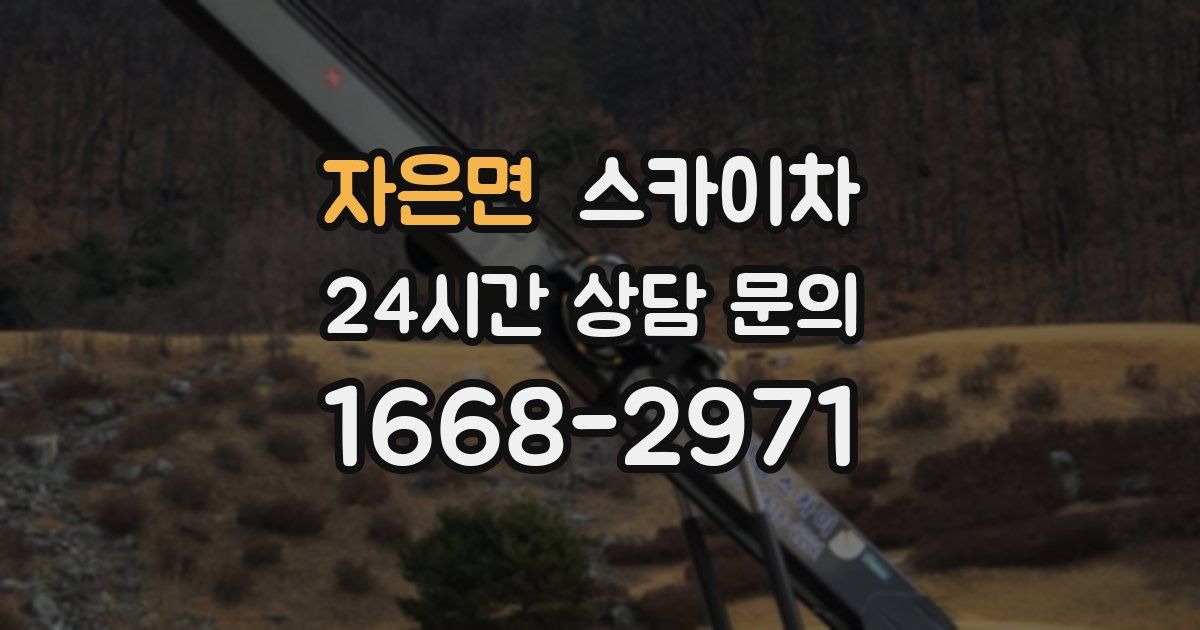 자은면 스카이차