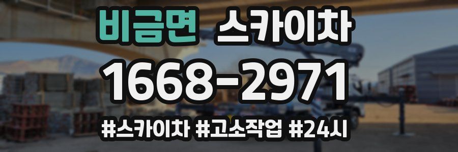 비금면 스카이차