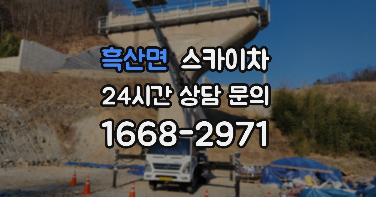 흑산면 스카이차