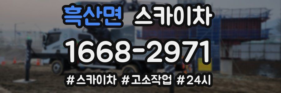 흑산면 스카이차