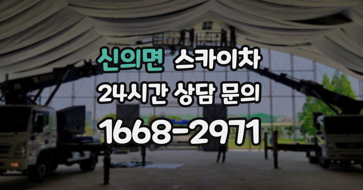 신의면 스카이차