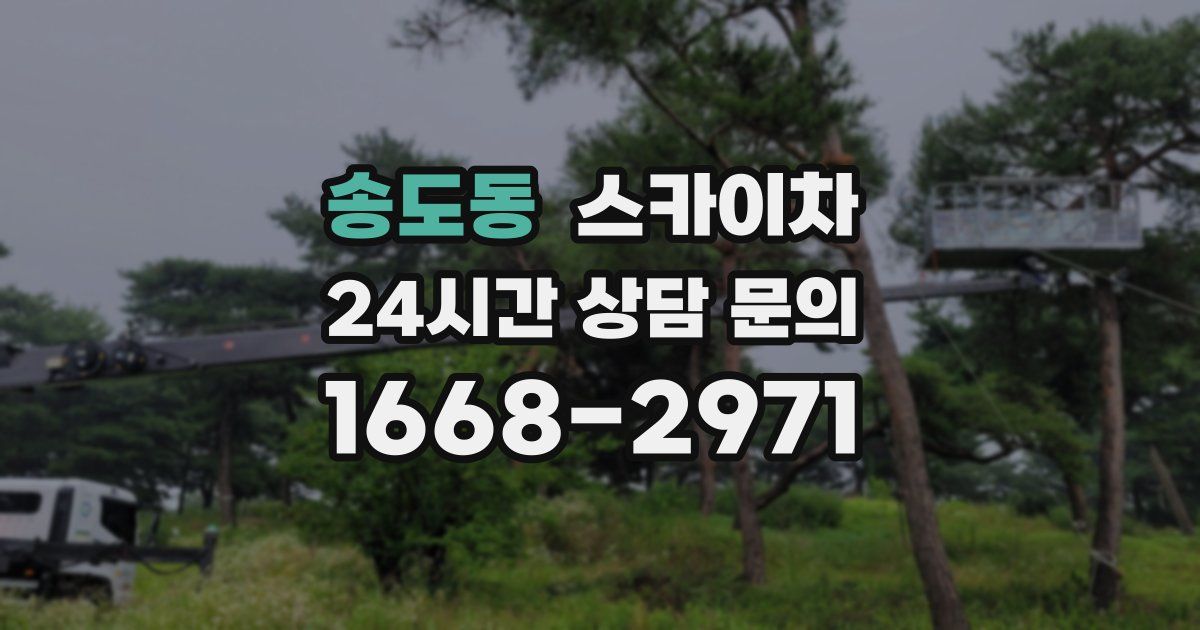 송도동 스카이차