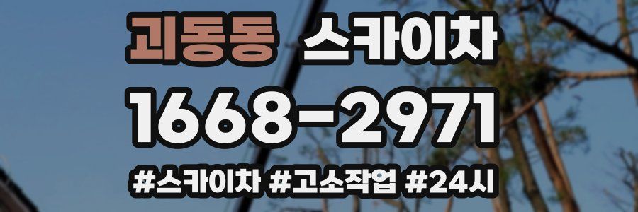 괴동동 스카이차