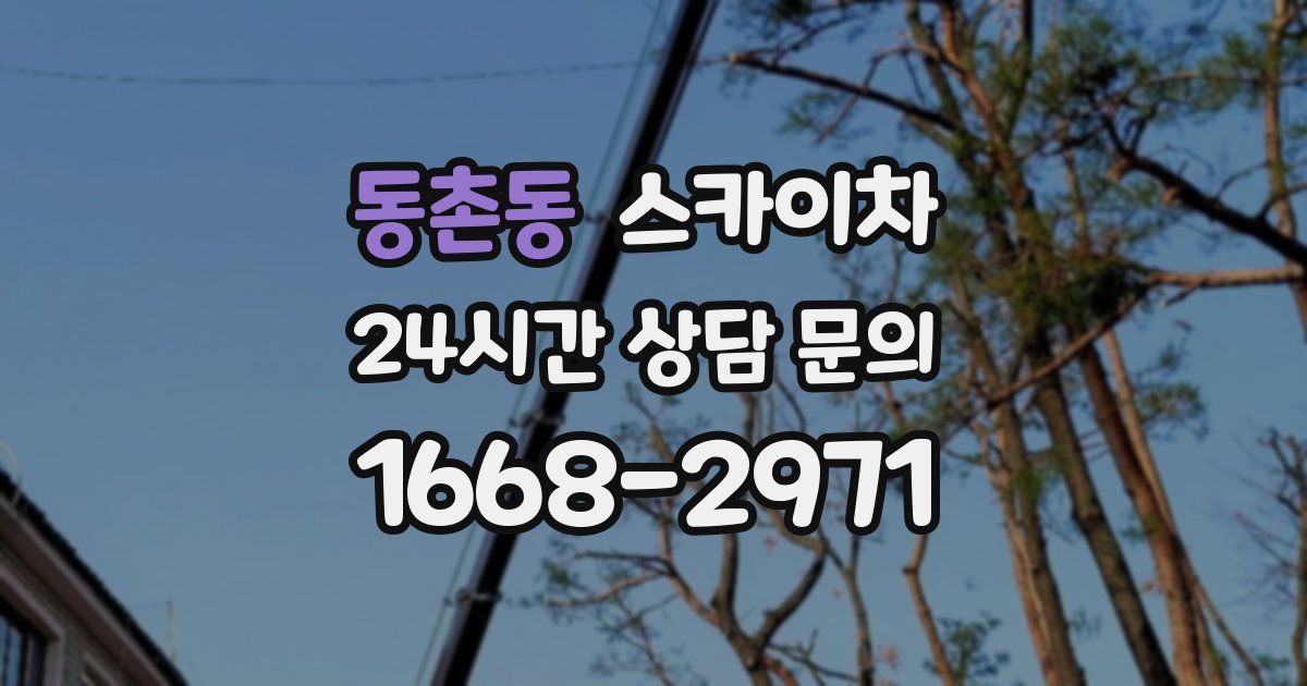 동촌동 스카이차