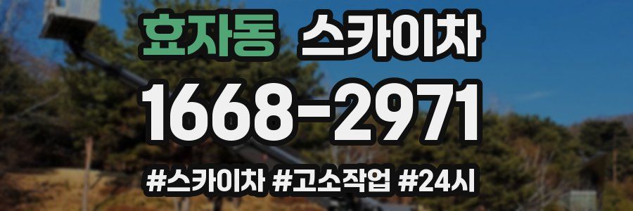 효자동 스카이차