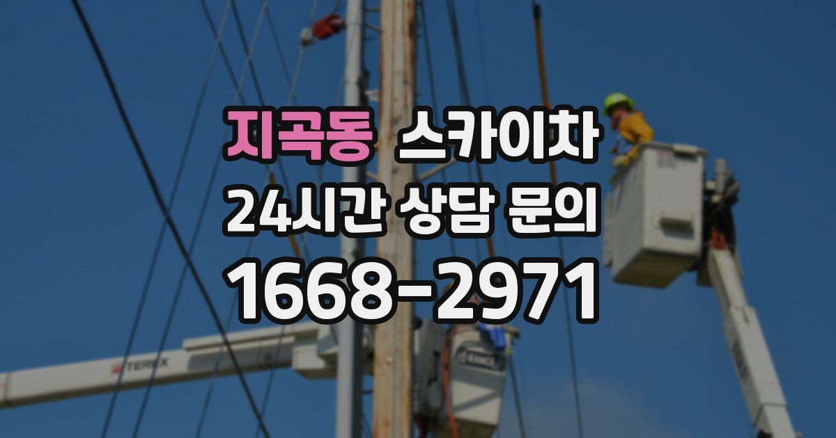 지곡동 스카이차