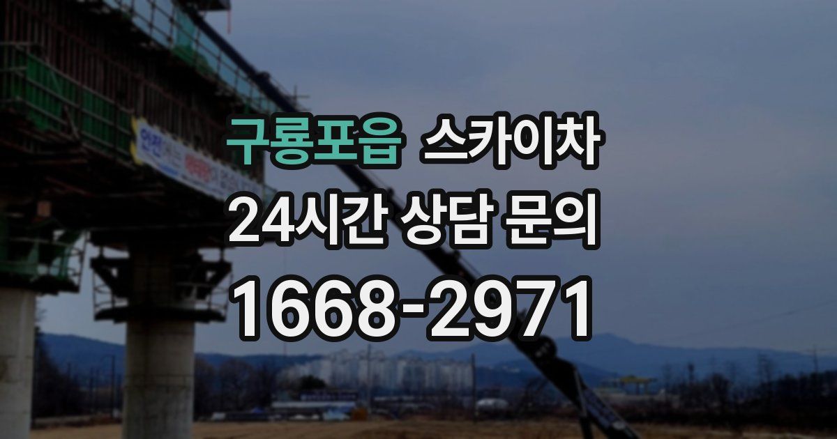 구룡포읍 스카이차