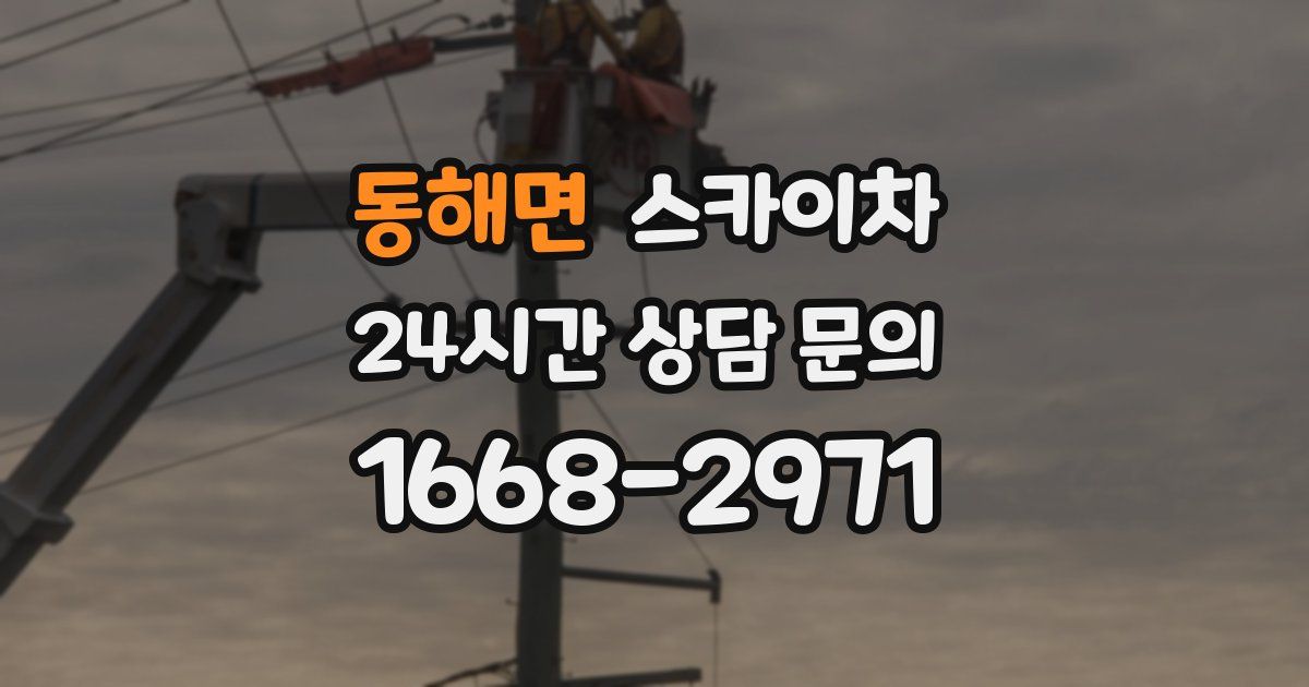 동해면 스카이차