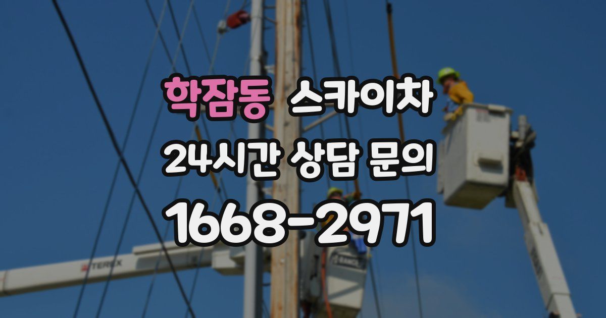 학잠동 스카이차