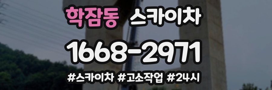 학잠동 스카이차