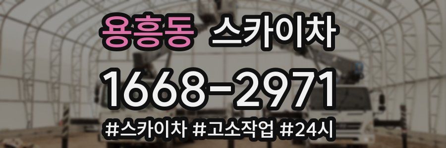 용흥동 스카이차