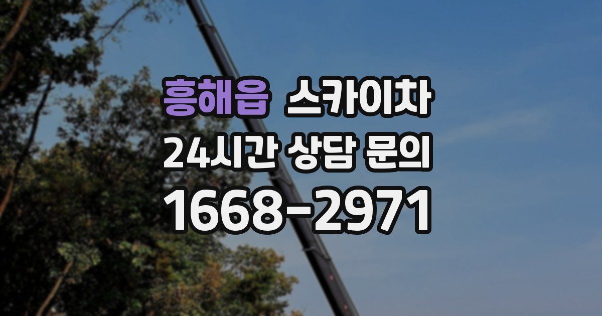 흥해읍 스카이차