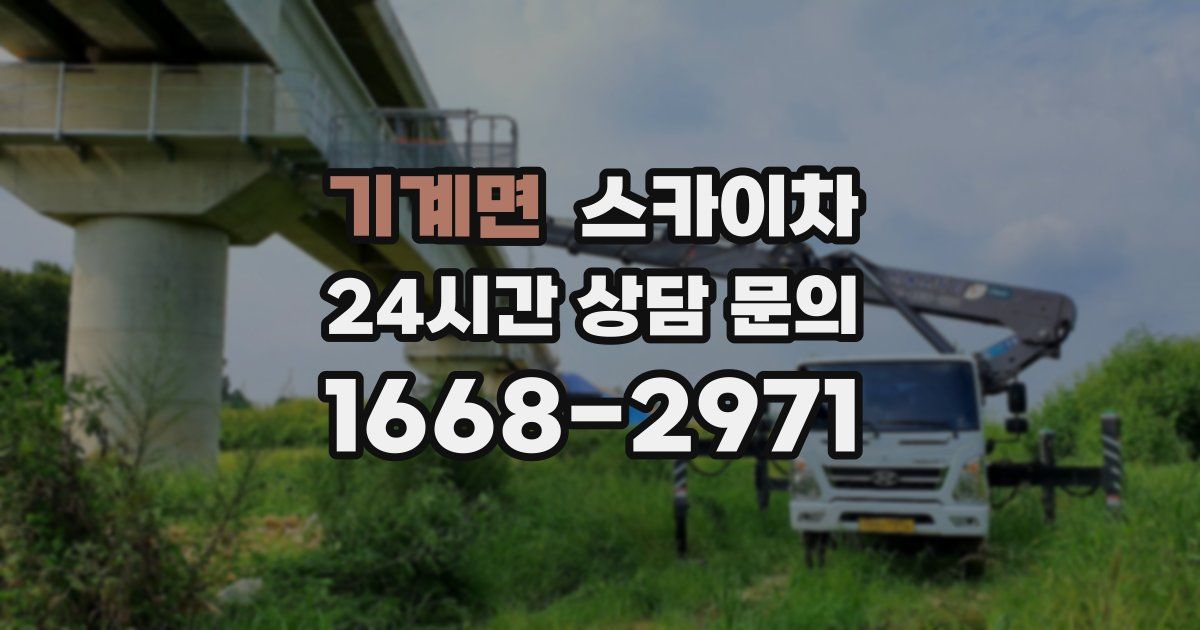 기계면 스카이차