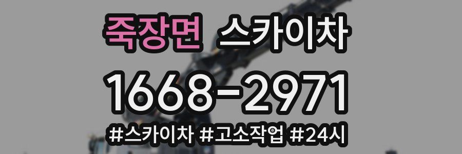 죽장면 스카이차