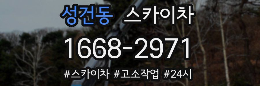 성건동 스카이차