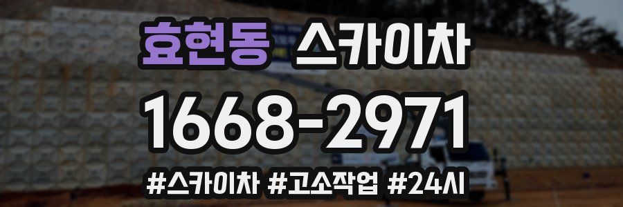 효현동 스카이차