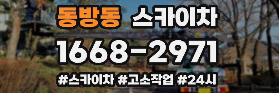 동방동 스카이차