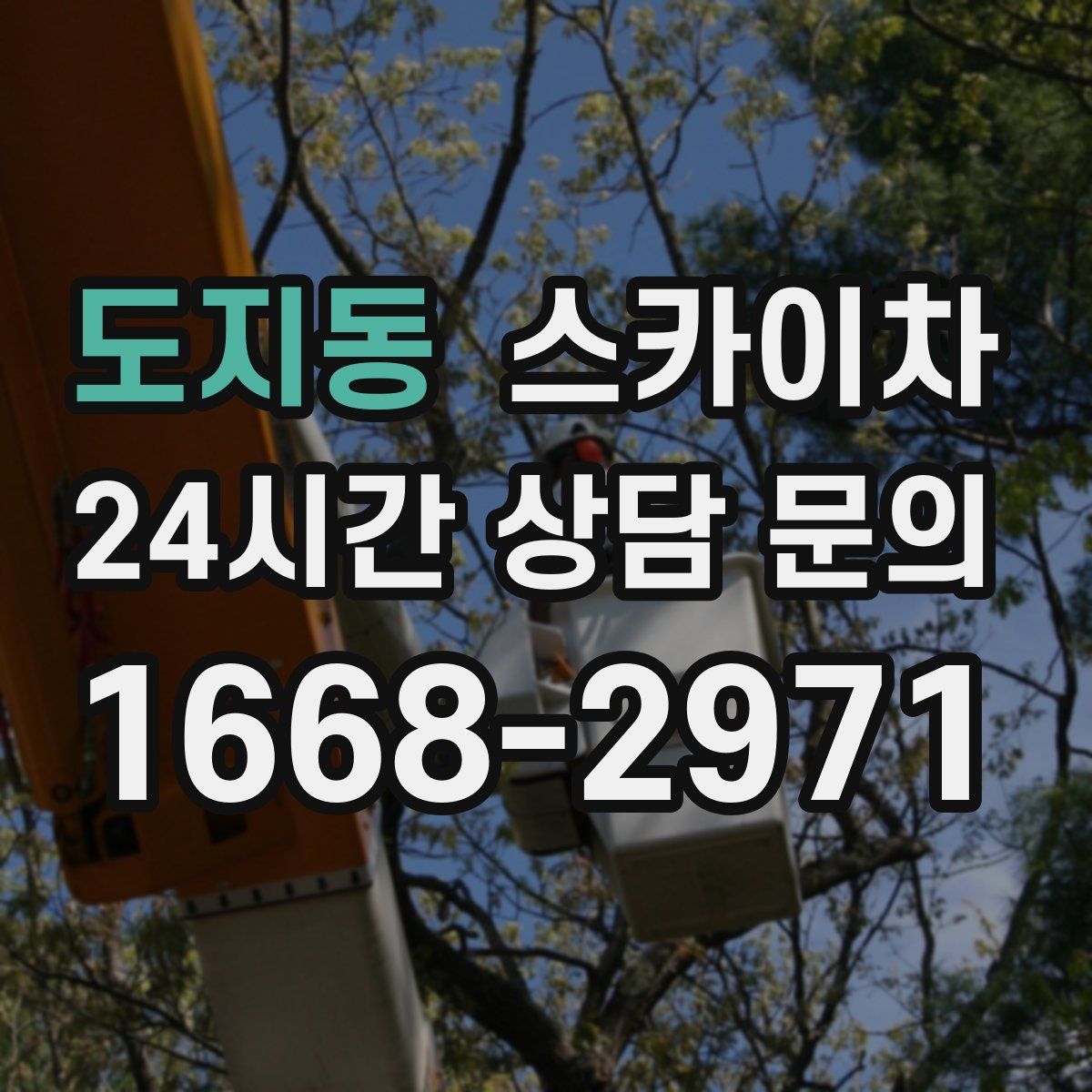 도지동 스카이차