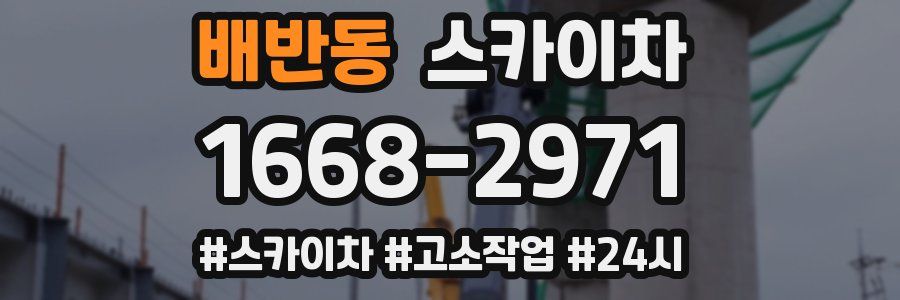 배반동 스카이차