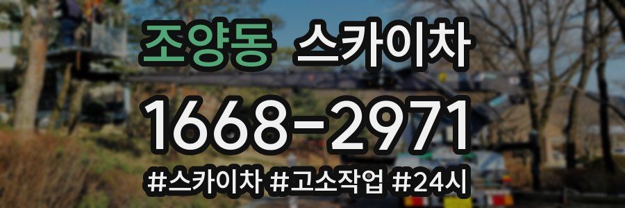 조양동 스카이차