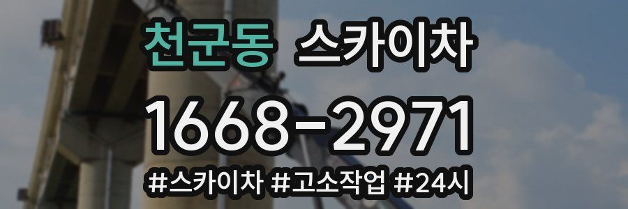 천군동 스카이차