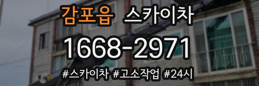 감포읍 스카이차