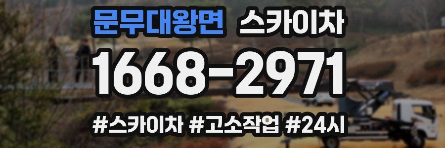 문무대왕면 스카이차