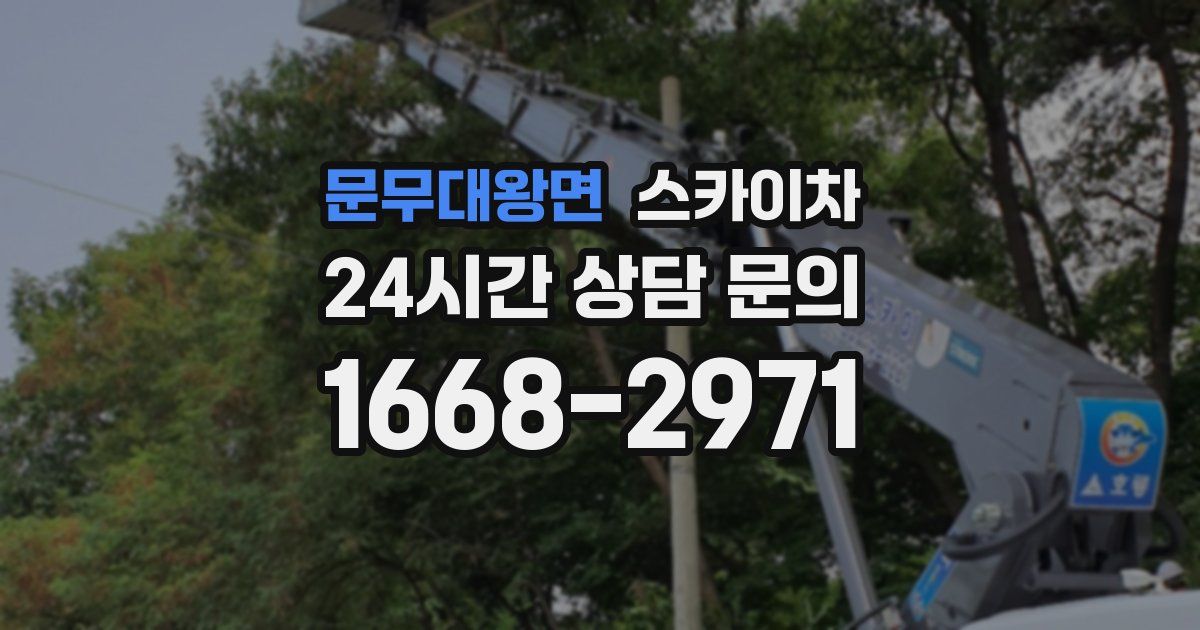 문무대왕면 스카이차