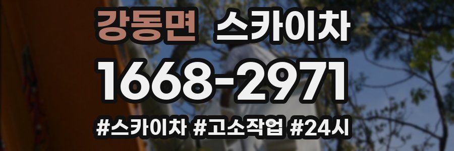 강동면 스카이차