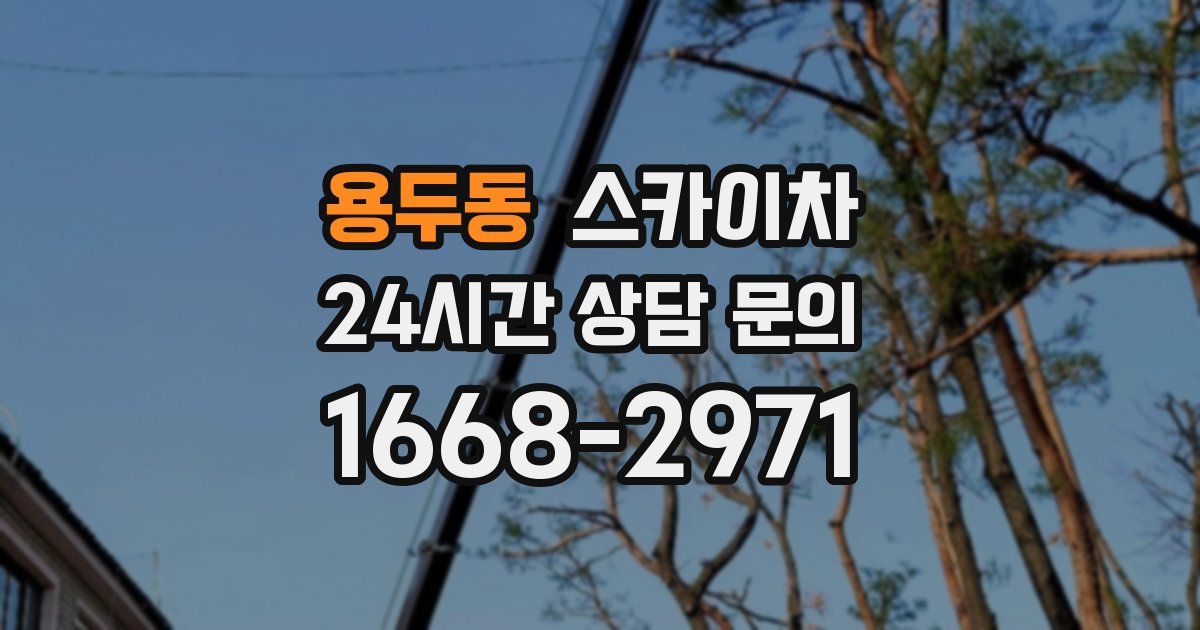 용두동 스카이차