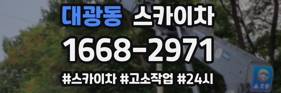 대광동 스카이차