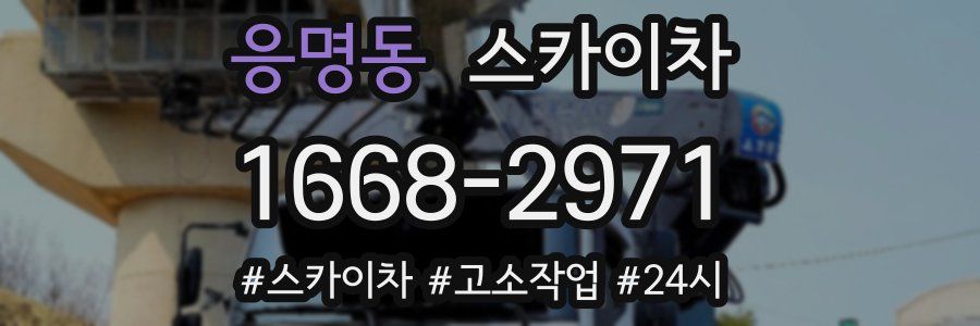 응명동 스카이차