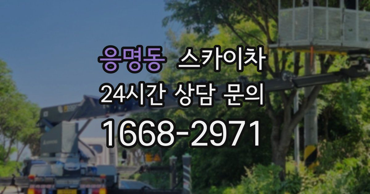 응명동 스카이차