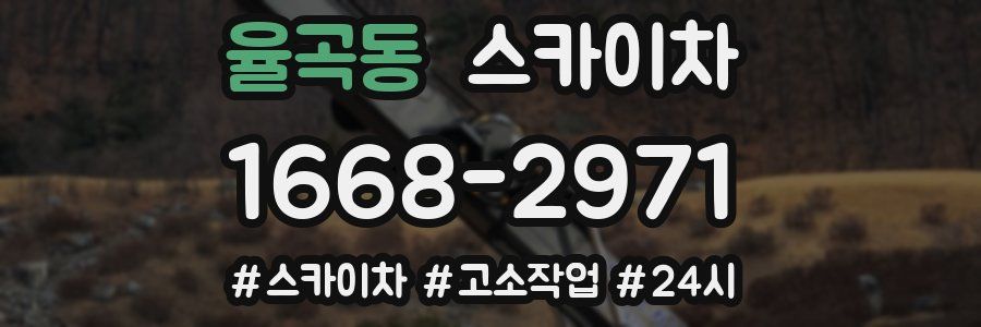 율곡동 스카이차