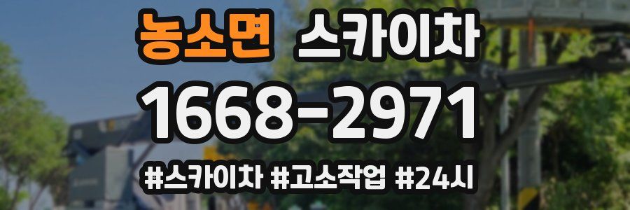 농소면 스카이차