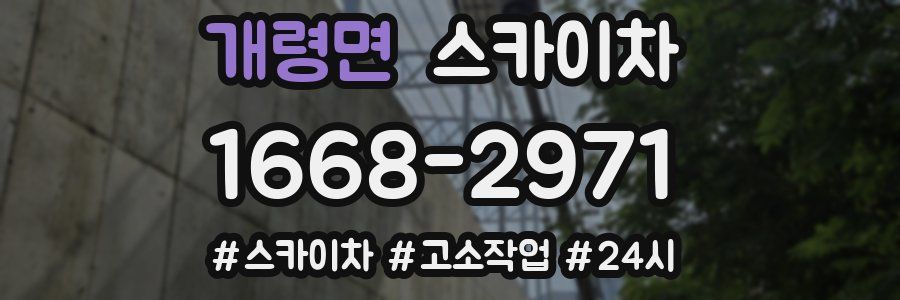 개령면 스카이차