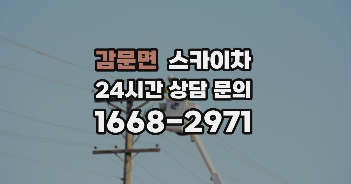 감문면 스카이차