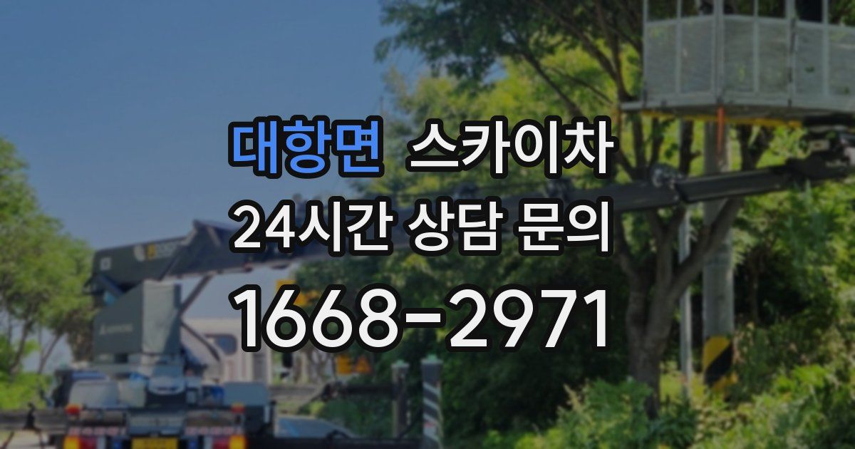 대항면 스카이차