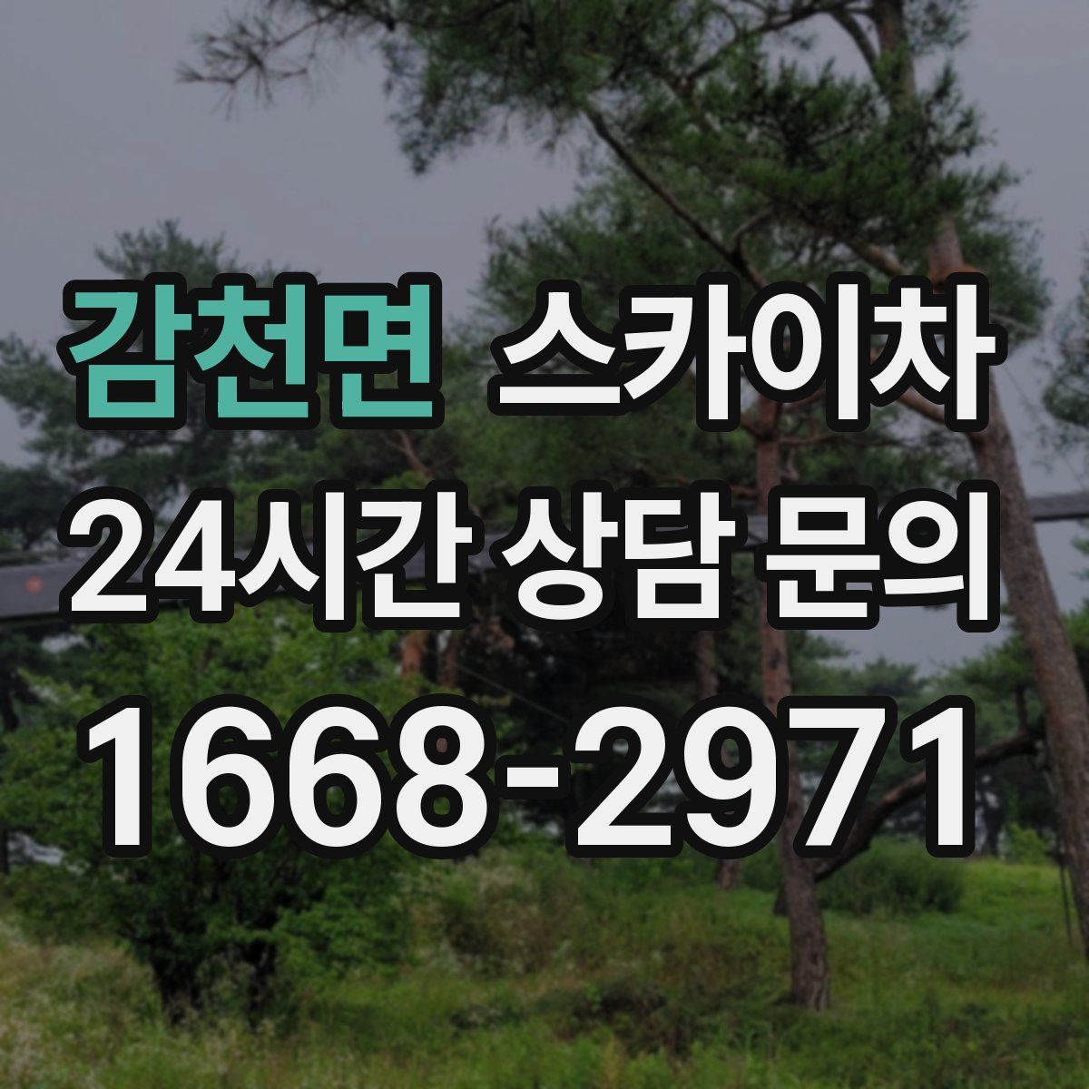 감천면 스카이차