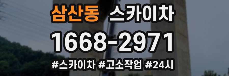 삼산동 스카이차