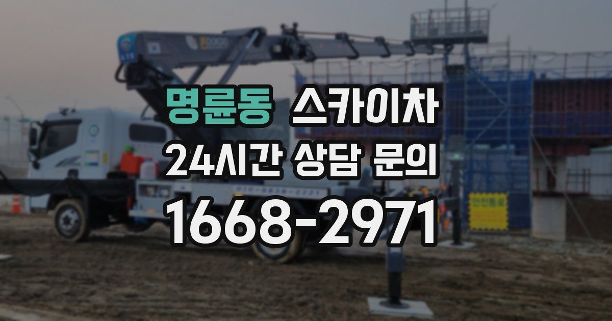 명륜동 스카이차