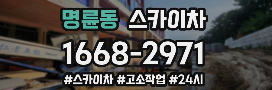 명륜동 스카이차